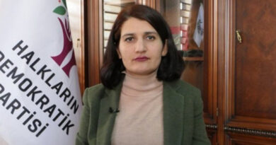 HDP’li Semra Güzel’in milletvekilliği düşürüldü