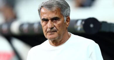 Beşiktaş teknik direktörü Şenol Güneş’ten transfer açıklaması! Ante Rebic, mavi kartlı oyuncu, yerli isimler…
