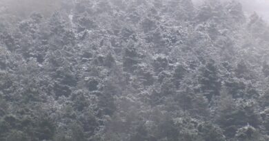 İstanbul’un yüksek kesimlerine kar yağdı