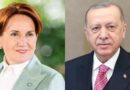 Meral Akşener’den Erdoğan’a: ‘Akşamları Papatya Çayı İç’