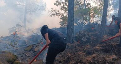 Muğla’da orman yangını: 5 dönümlük alan zarar gördü