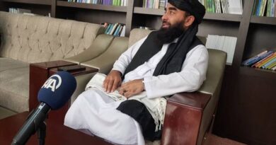 Taliban hükümeti, İsveç’in Afganistan’daki faaliyetlerini durdurdu