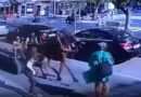 Tekirdağ’da bir kadına at arabası çarptı