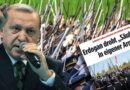 Bild teğmenler konusunda ağır eleştirdi