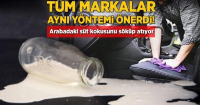 Tüm markalar aynı yöntemi önerdi! Arabadaki süt kokusunu söküp atıyor