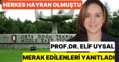 Eğitim Geçmişiyle Herkesi Kendine Hayran Bırakan ODTÜ’lü Hoca Prof. Dr. Elif Uysal Merak Edilenleri Yanıtladı