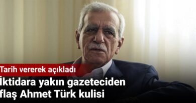 İktidara yakın gazeteciden flaş Ahmet Türk kulisi. Tarih vererek açıkladı